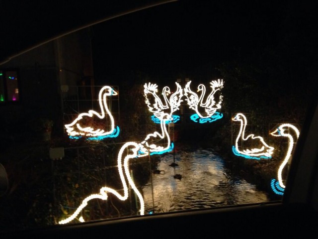 @beckiePA 2h  Looking as festive as ever @angarrackinfo - well done - another impressive display! #angarrackxmasl